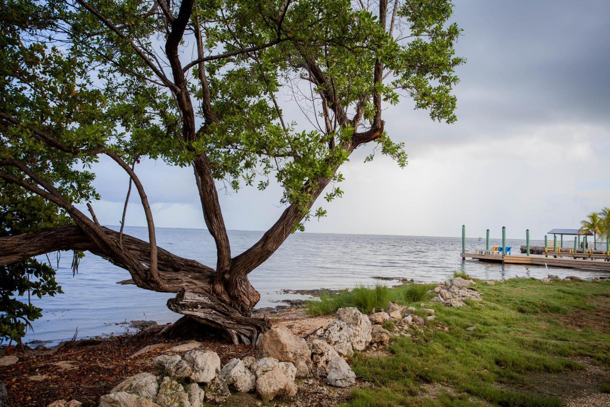 Kings Kamp Key Largo Exterior foto
